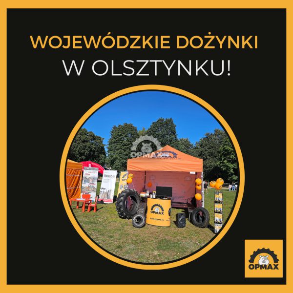 Wojewódzkie Dożynki w Olsztynku